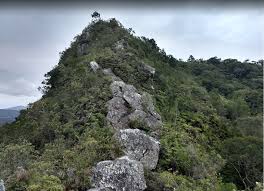 Fucam lança edital para gestão da APA do Morro do Gavião