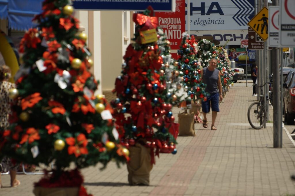 Camboriú começa a decorar a cidade para o natal