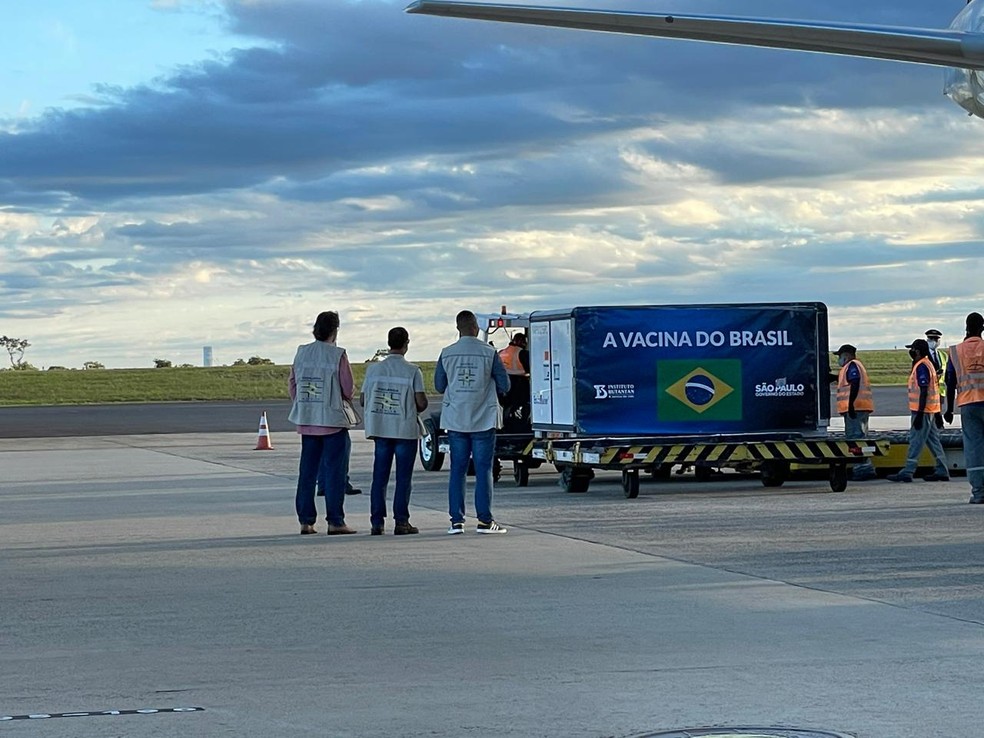 Novo carregamento da Coronavac chega ao Aeroporto de Viracopos, em Campinas (SP)