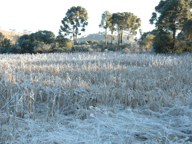 La Ninã antecipa chegada do frio em Santa Catarina