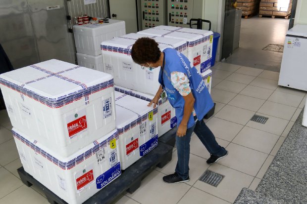 Nova remessa com 86.400 doses da vacina Coronavac chegam nesta quarta-feira em Santa Catarina