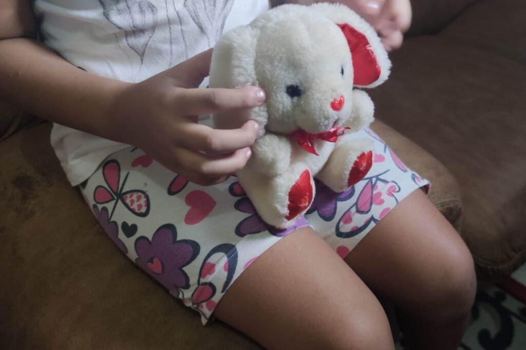 Menina de 12 anos engravida após ser estuprada em Navegantes