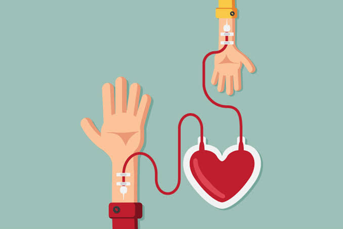 Campanha de doação de sangue é reativada em Camboriú