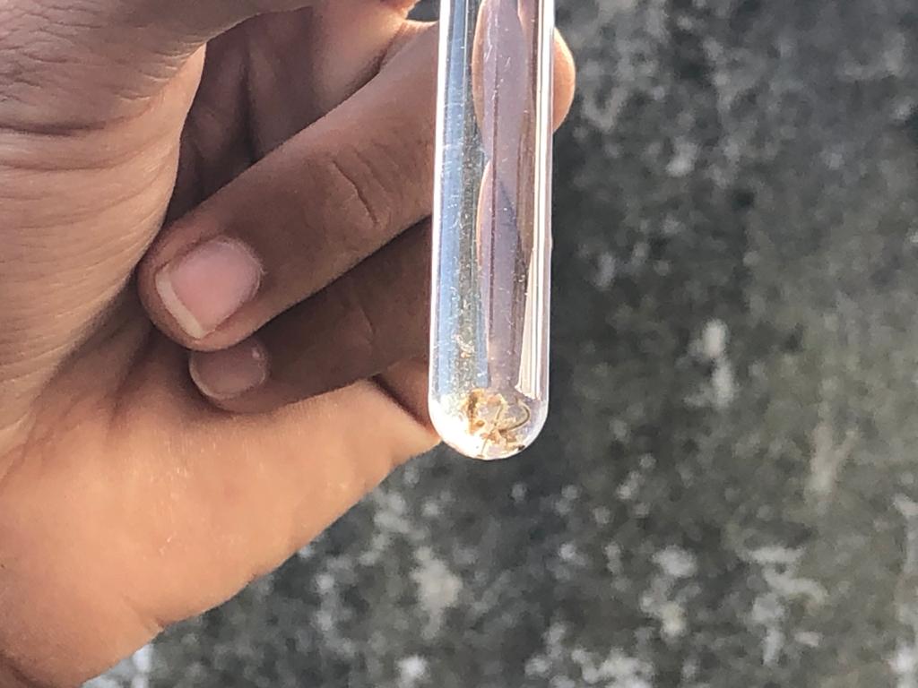 Vigilância Epidemiológica de Camboriú intensifica orientações sobre o combate a Dengue na cidade