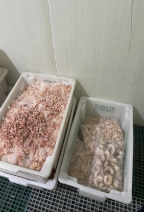 3,6 toneladas de pescados impróprios ao consumo são apreendidos em estabelecimento clandestino em Barra Velha