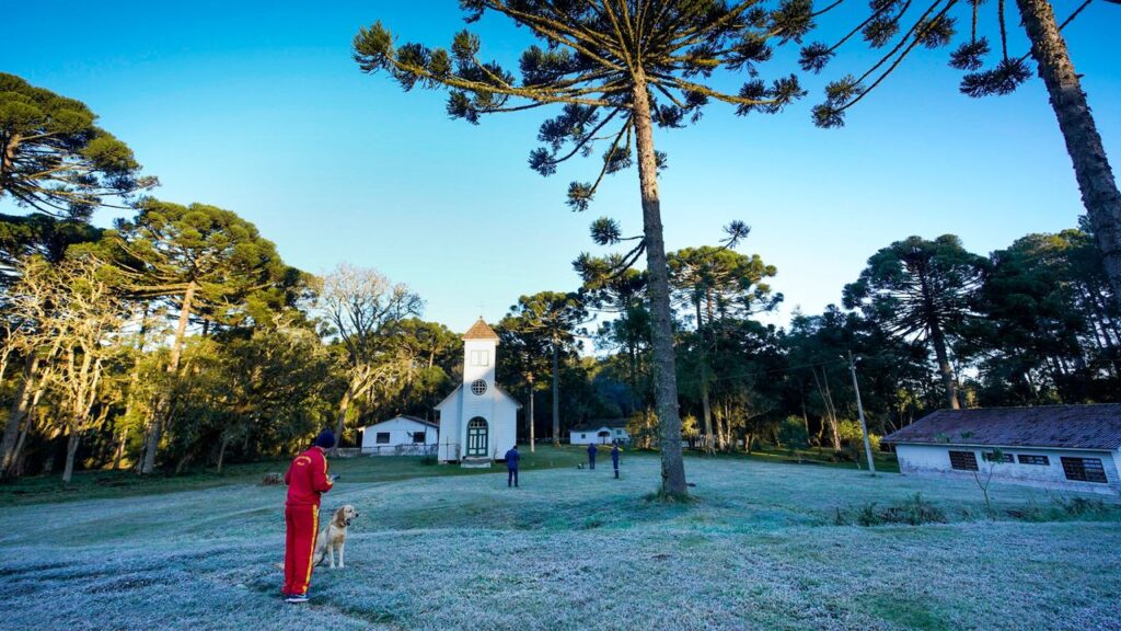 Defesa Civil e Ciram preveem temperaturas negativas e geada nesta terça-feira no Estado