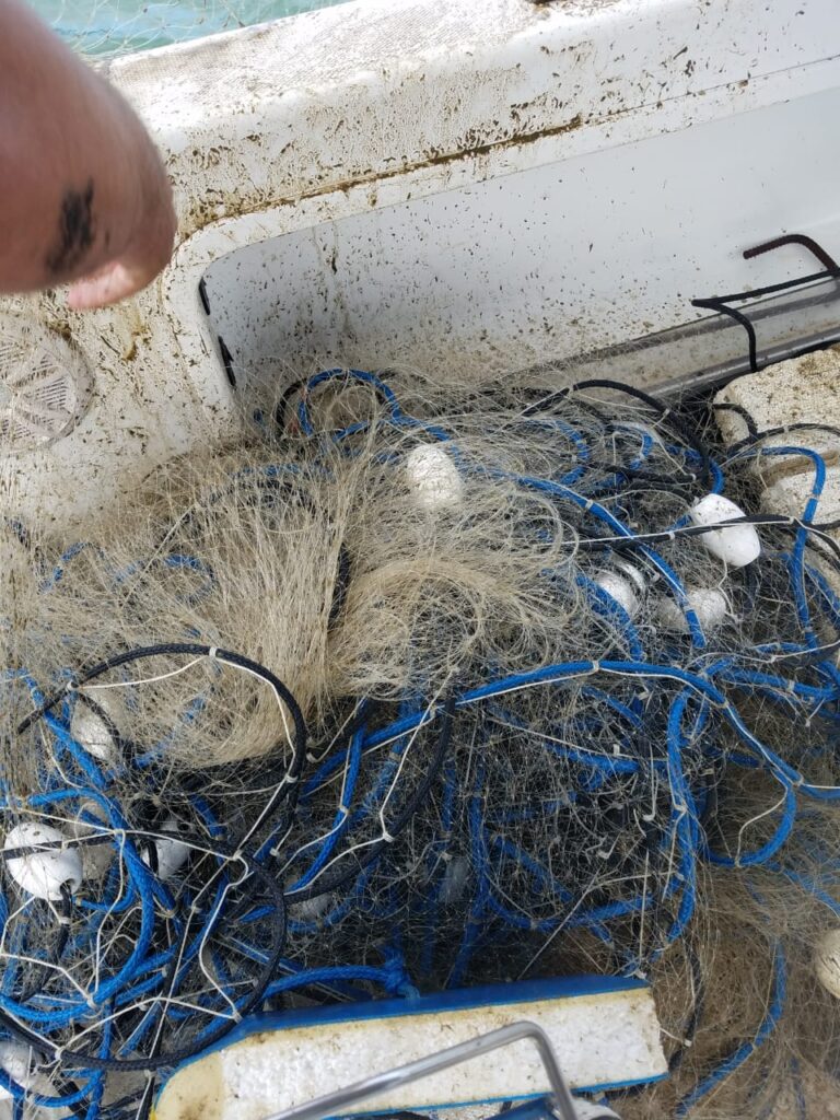 Em um mês 18 redes de pesca irregulares são apreendidas pela Fiscalização Ambiental em Balneário Camboriú