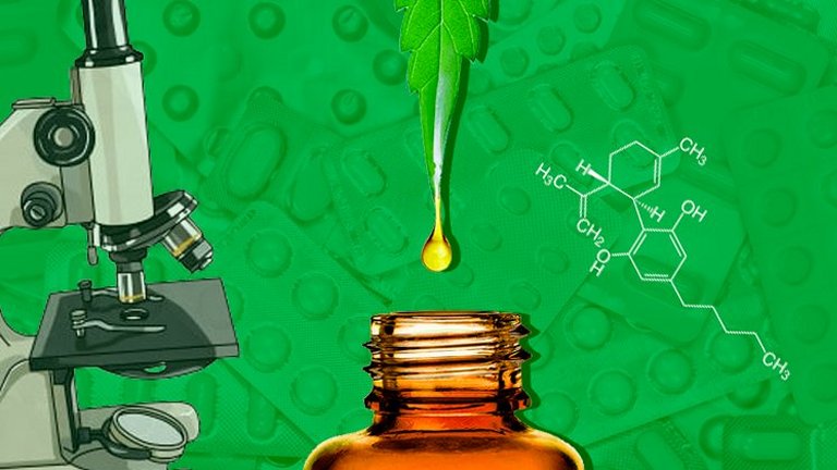 TRF4 vai decidir de moradora de Camboriú poderá plantar maconha em casa