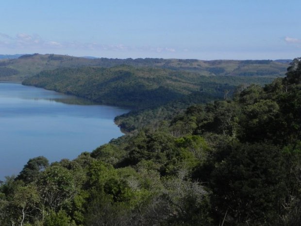 Operação Mata Atlântica em Pé resultou em mais de R$ 4,1 milhões em multas a infratores em Santa Catarina