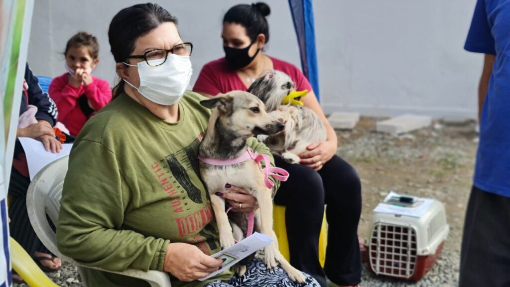 Fique atento: Cadastro para mutirão de castração de pets de 10 kg em Camboriú