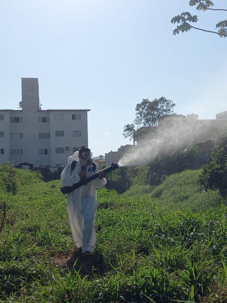 Camboriú aplica larvicidas em pontos estratégicos para reduzir insetos comuns no verão