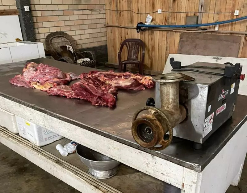 Laudo da PF confirma: era carne de cavalo sendo vendida em abatedouro clandestino de SC