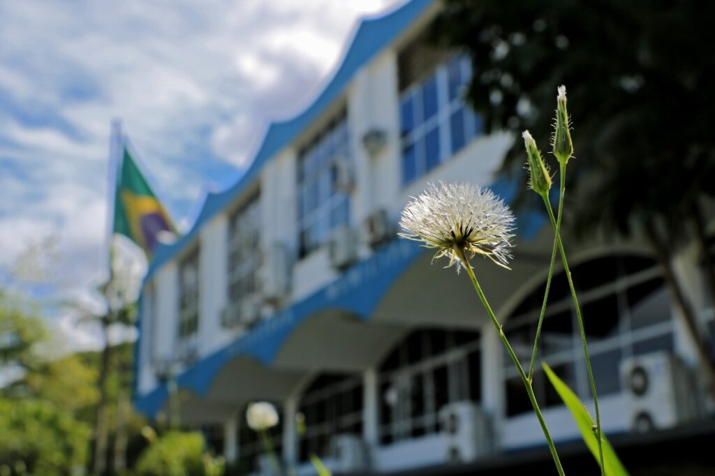 Confira o expediente da Prefeitura de BC durante o feriado de Carnaval