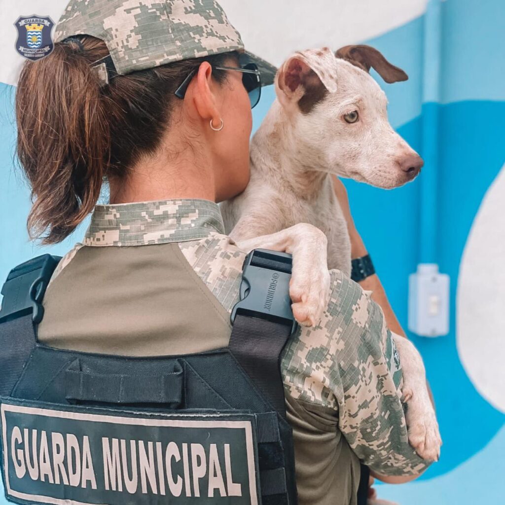 Vinte animais em situação de maus-tratos são resgatados