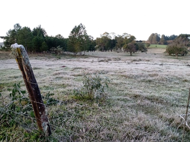 Madrugada de temperaturas negativas no Oeste Catarinense