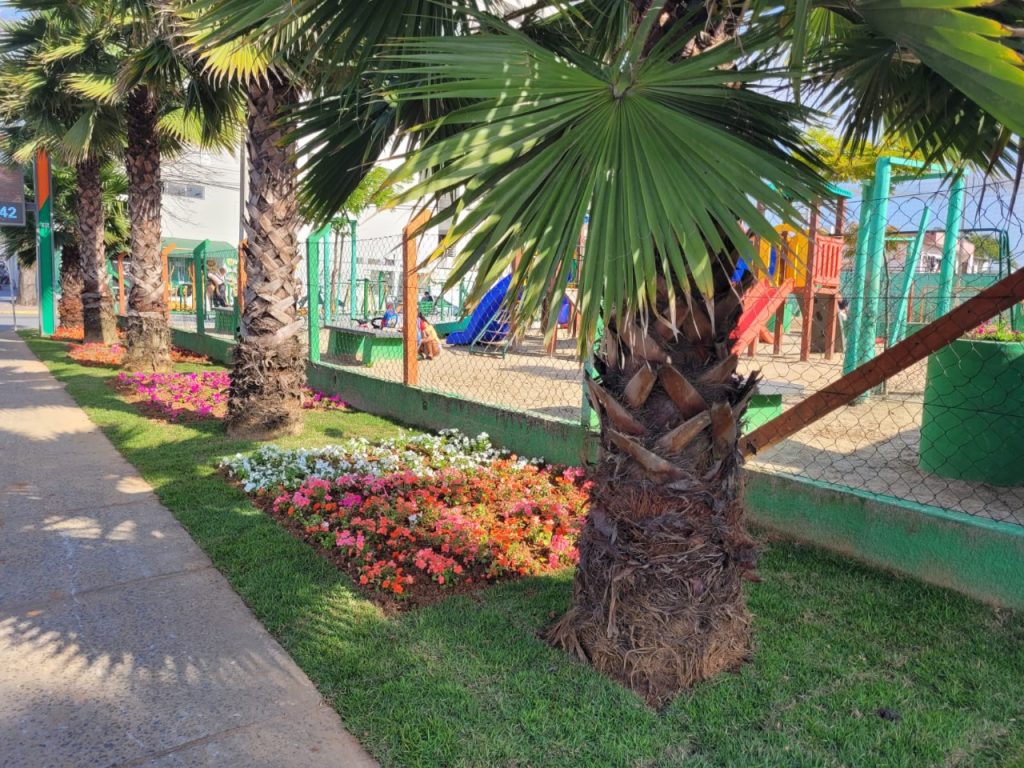 Cidade florida e colorida com a plantação de 30 mil mudas