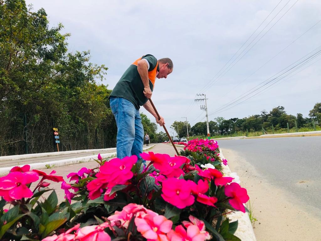É primavera!!! Camboriú está florida para a nova estação