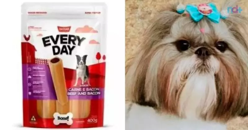 Cachorrinha de Itapema morre após ingerir petiscos suspeitos de intoxicação