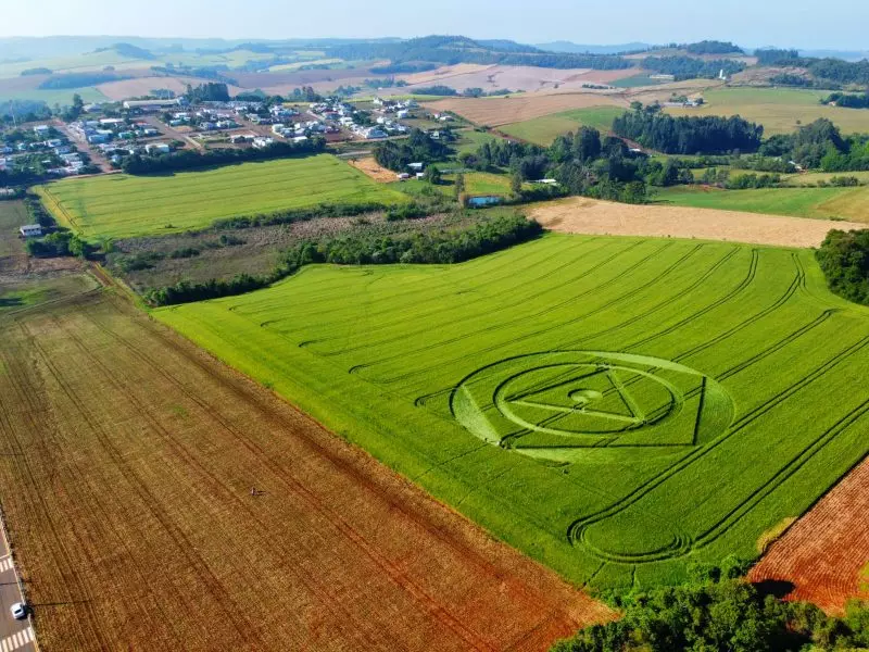 Agroglifos aparecem em plantação de trigo em Ipuaçu, no Oeste de SC