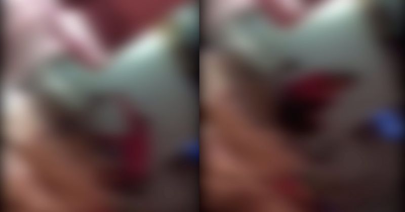 Vídeo flagra agressão contra criança em creche de Camboriú e assistente é afastada