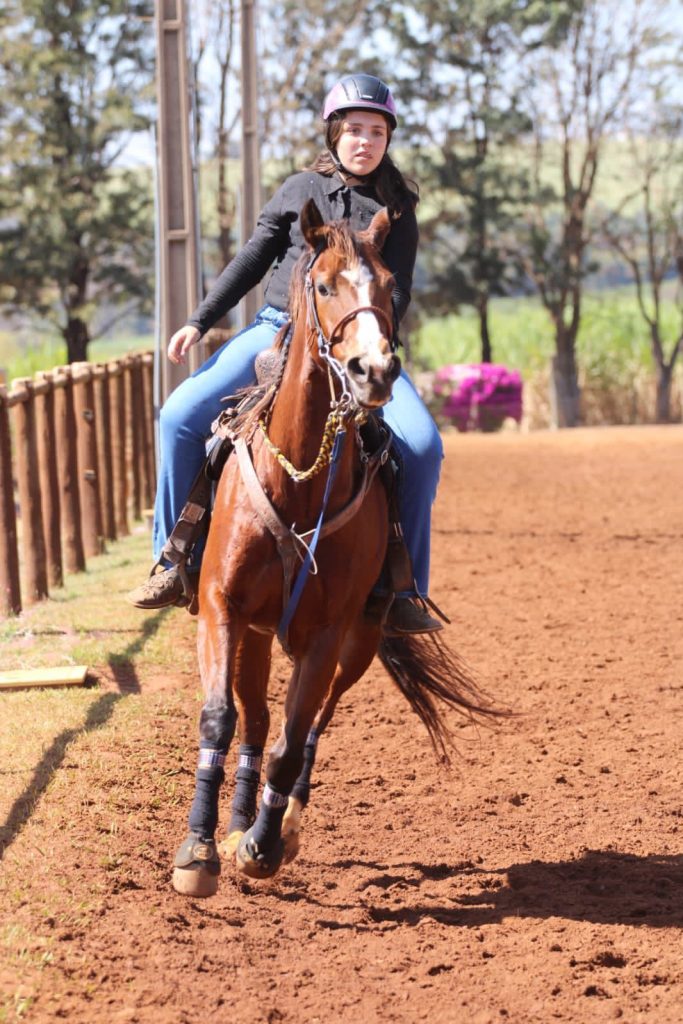 Morre menina de 11 anos que caiu de cavalo em Camboriú