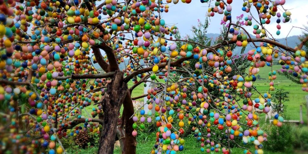 Camboriú está na contagem regressiva para o inicio da Osterbaum