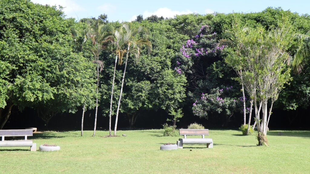Parque Raimundo Malta terá Sexta-Feira Cultural