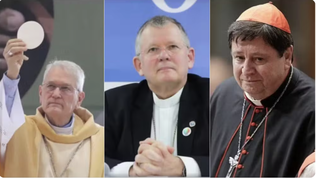 Três dos sete brasileiros que podem participar do Conclave são de SC
