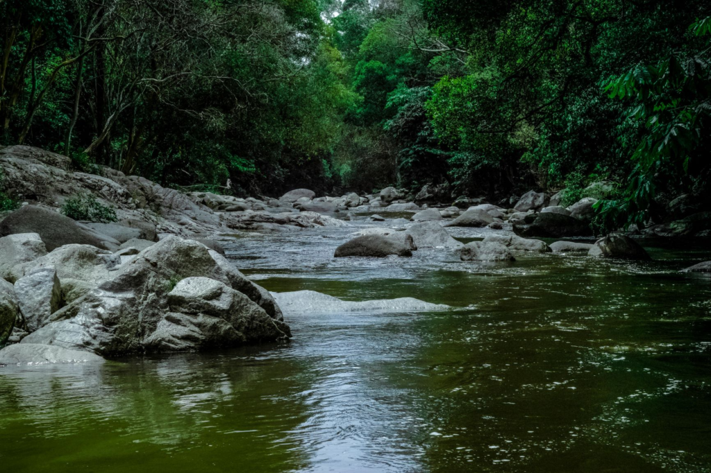 A origem da água que chega até as residências em Camboriú: Uma jornada vital 
