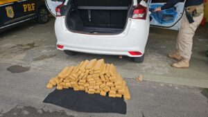 PRF apreende mais de 300 kg de maconha durante feriadão de Páscoa