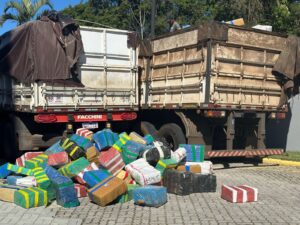 PF apreende cerca de 6.8 Toneladas de maconha e prende uma pessoa em Porto Belo