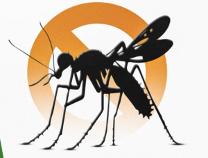 Camboriú irá realizar campanha de vacinação contra a dengue para crianças entre 10 a 16 anos