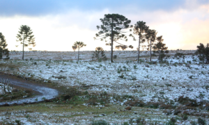 Defesa Civil mantém possibilidade de neve entre quarta e quinta-feira em Santa Catarina