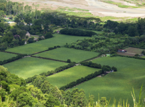 Certificado de Imóvel Rural pode ser retirado a partir desta terça-feira