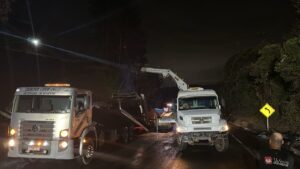 Caminhão carregado de tora incendeia após tombar na BR282