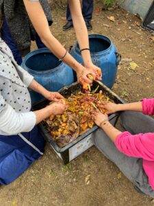 Ambiental instala composteiras e hortas pedagógicas em escolas de Balneário Camboriú