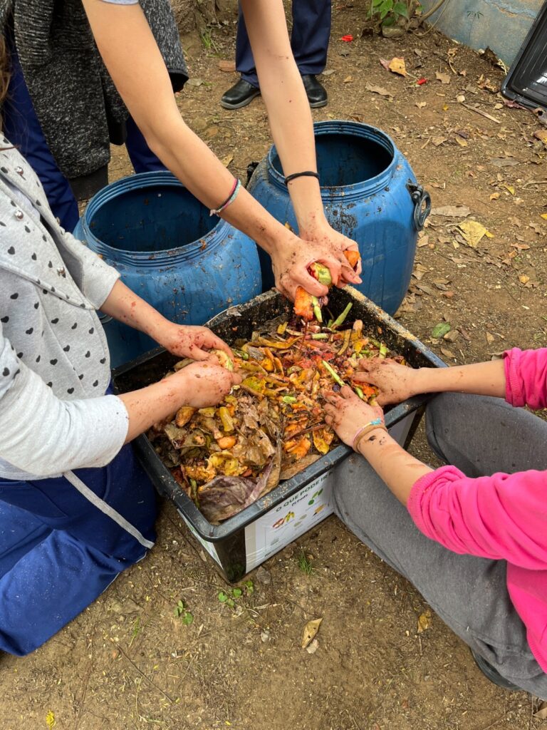 Ambiental instala composteiras e hortas pedagógicas em escolas de Balneário Camboriú