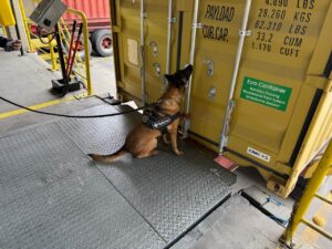 Carga de cocaína diluída em refrigerantes é apreendida no complexo portuário de Itajaí e Navegantes