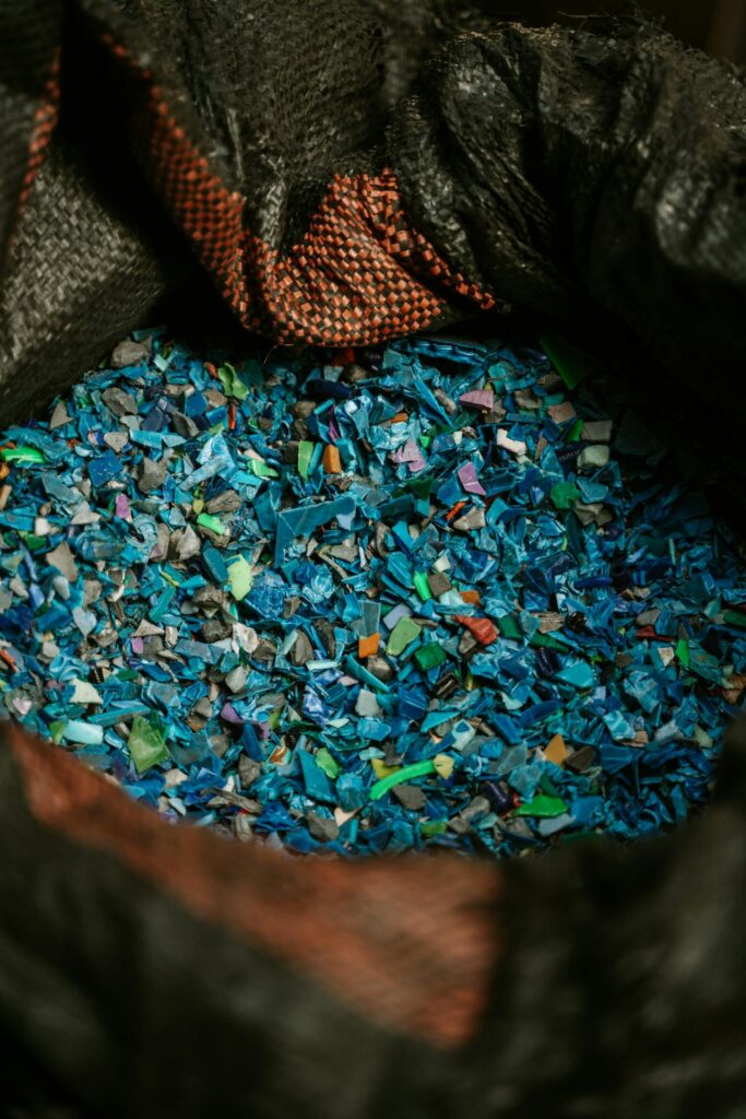 Plástico nos rios e mares ameaça o meio ambiente e compromete a alimentação dos animais 