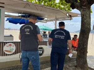 Alimentar pombos é perigoso. Entenda