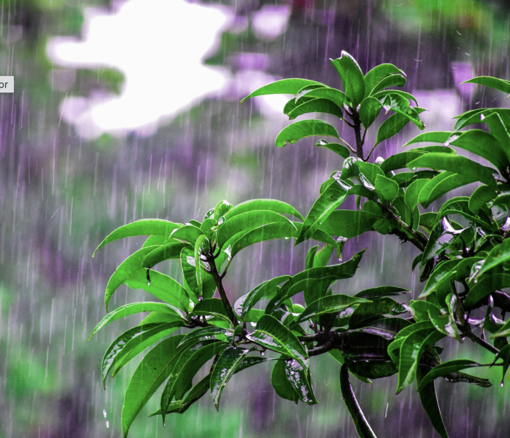 Chuva demais não significa mais água nas torneiras 