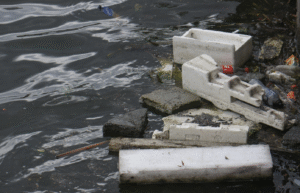 Esgoto no rio e no mar: impactos da falta de saneamento para as águas 