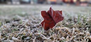 Frio se intensifica nesta quinta-feira