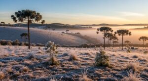 Massa de ar frio provoca queda acentuada das temperaturas em Santa Catarina