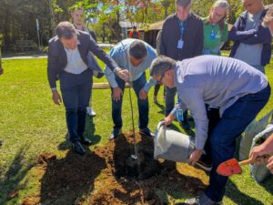Mais de 2 mil árvores foram plantadas em menos de um ano*